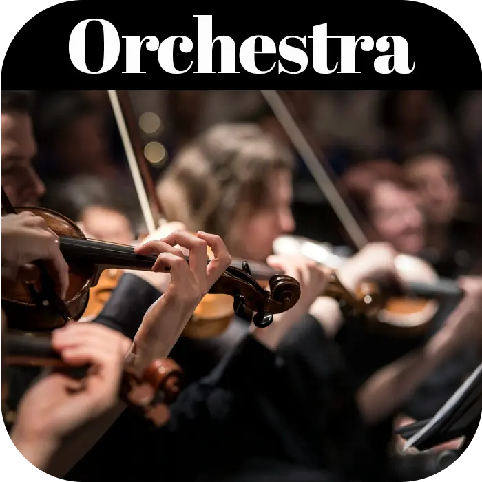 Orchestra