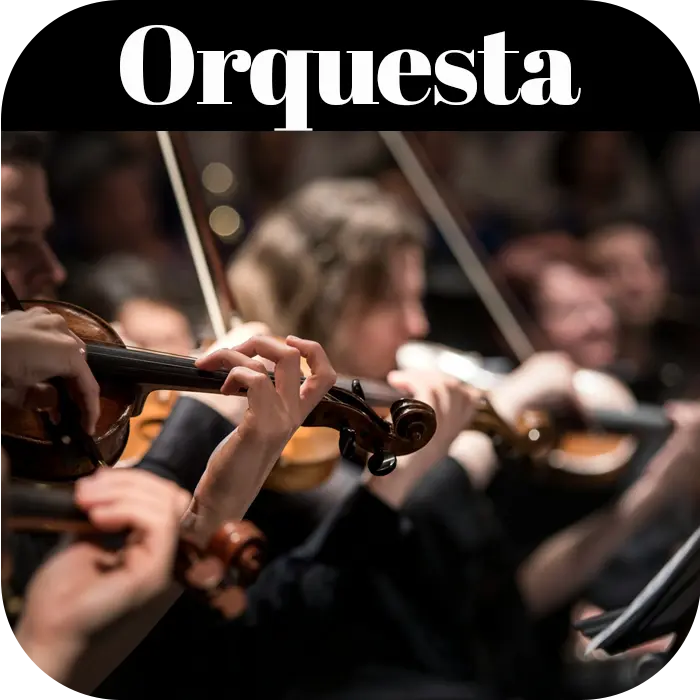 Orchestra